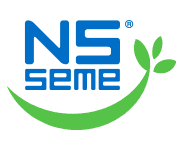 NS Seme